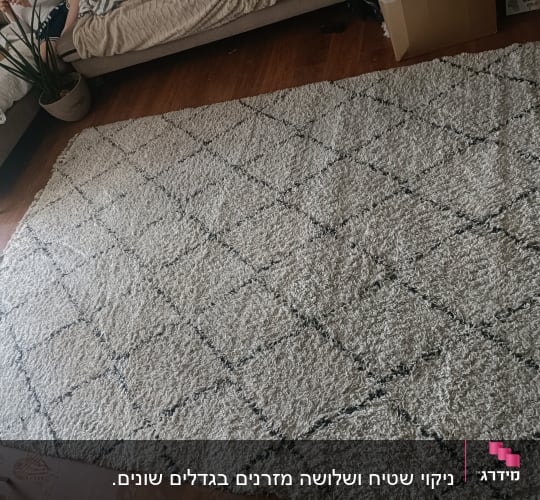שטיח גדול על רצפת עץ בחדר מגורים